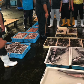 豊浜市場情報！日曜日は朝夕担当！の画像