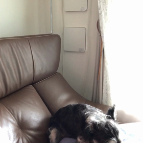 行くぅ〜❤︎の画像