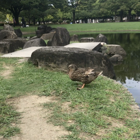 久しぶりに会いに行きましたの画像