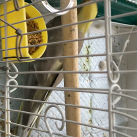 ミネラル石の画像