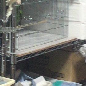 大中小の忍者の合言葉？の画像