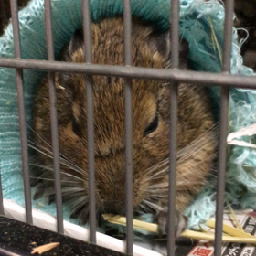 さーて今日はの画像