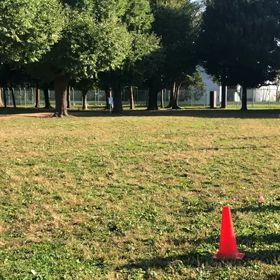 1000m 記録会 第２組④の画像