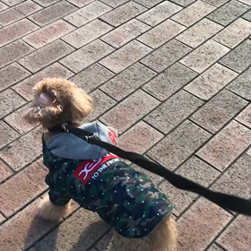 ♪お散歩動画♪お台場海浜公園♪の画像