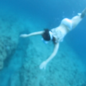 スキンダイビング動画の画像