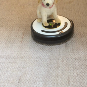 ありがとうございますの画像