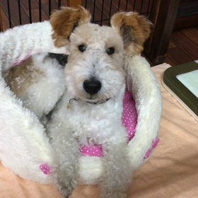 動きませんwwの画像