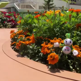 8/1の画像