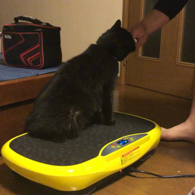 小太郎さんとダイエット器具の画像