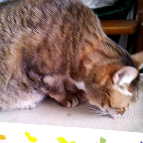 私を構成する成分は・・・の画像