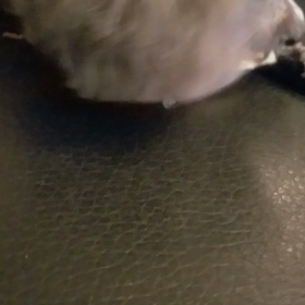 コーヒールンバ☺の画像