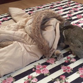 一緒がいいの♡の画像