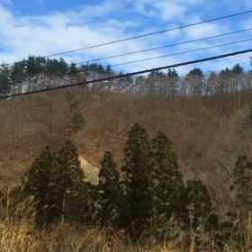 東京 → 山形へ…の画像