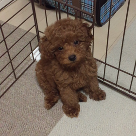 ♡一週間♡の画像