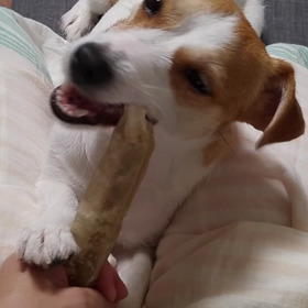 もしもーしの画像