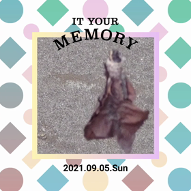 ☆1500回目のブログ☆の画像