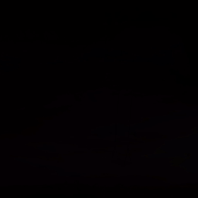 ネコの思い出の画像