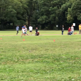 10色リレー(折り返し付近)⑦の画像