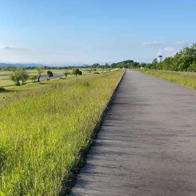 ただ歩いてる動画ですよ？の画像