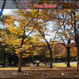 YouTube　～Xiaomi Redmi Note ９Sで秋を楽しむ～の画像