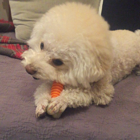 ただいまの後はの画像