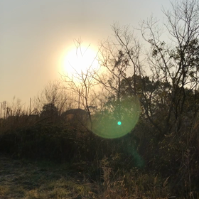 鶯の美しいさえずり♪今日一日happyの画像