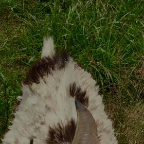 2017.6/17ツーリングまとめの画像