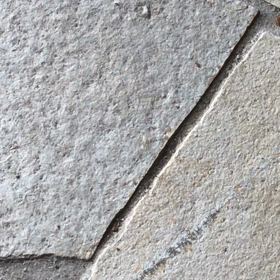 白い虫。の画像