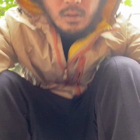 ゴリラ犯罪。の画像