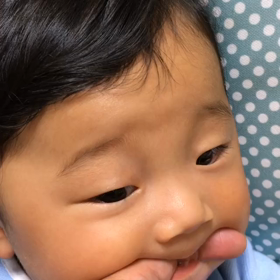 ぶーぶーぶーの画像