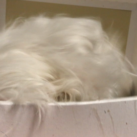 梅田に行かないと行けない仕方ないの画像