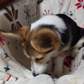 とりゃーーー！！の画像