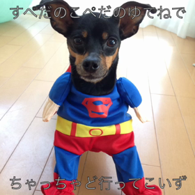 ハロウィンハロウィン！すぺだのこぺだのって。の画像