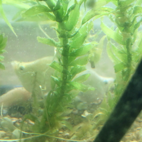 ２１日目ｖ（＾＿＾ｖ）♪の画像