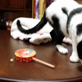 でんでん太鼓とよしこっこ２の画像