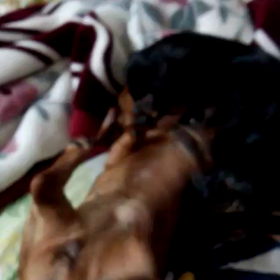 激しい女の戦い！(笑)の画像