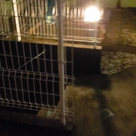 夜のお庭の画像