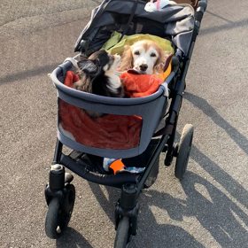 みんなで。の画像