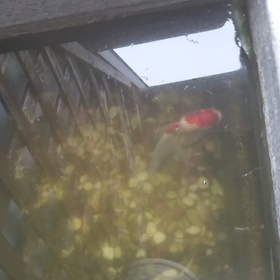 足先だけ冷たいの画像