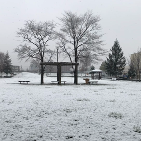 白い悪魔が来たの画像