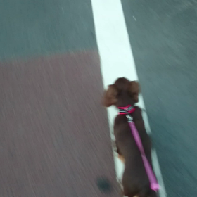 最近の発見(°▽°)の画像