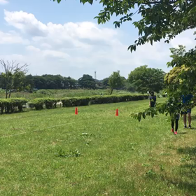 Ｂチームバトン練習⑩の画像