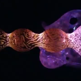 あけおめです！曲完成しました！の画像