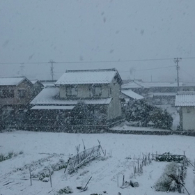 やっぱね～の画像