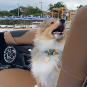 20210811 Win IGSの画像