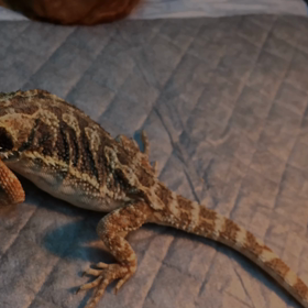 動画ざんまい(^_^)の画像