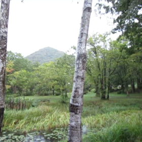 とうほぐ６日目(七戸町森林公園キャンプ場に沈没)の画像