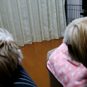 歌ってる？の画像