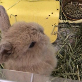 僕、可愛いでしょの画像