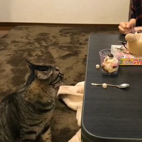 角砂糖気になるの画像